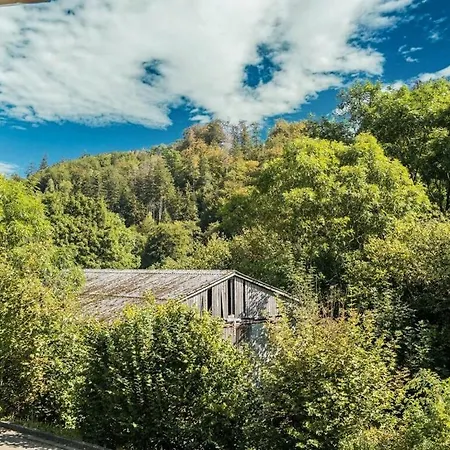 Holiday Home In Willingen Near Ski Resort 펜션
